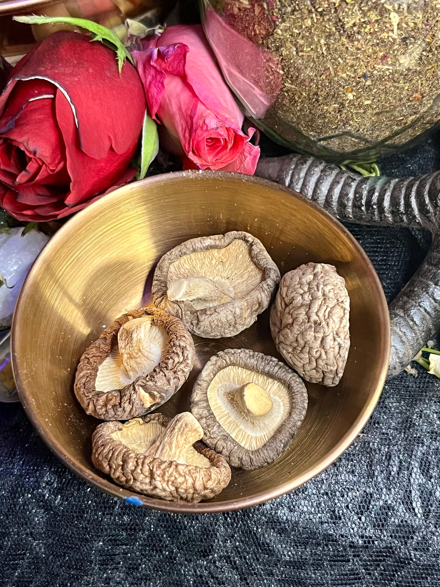 Mushroom Magick