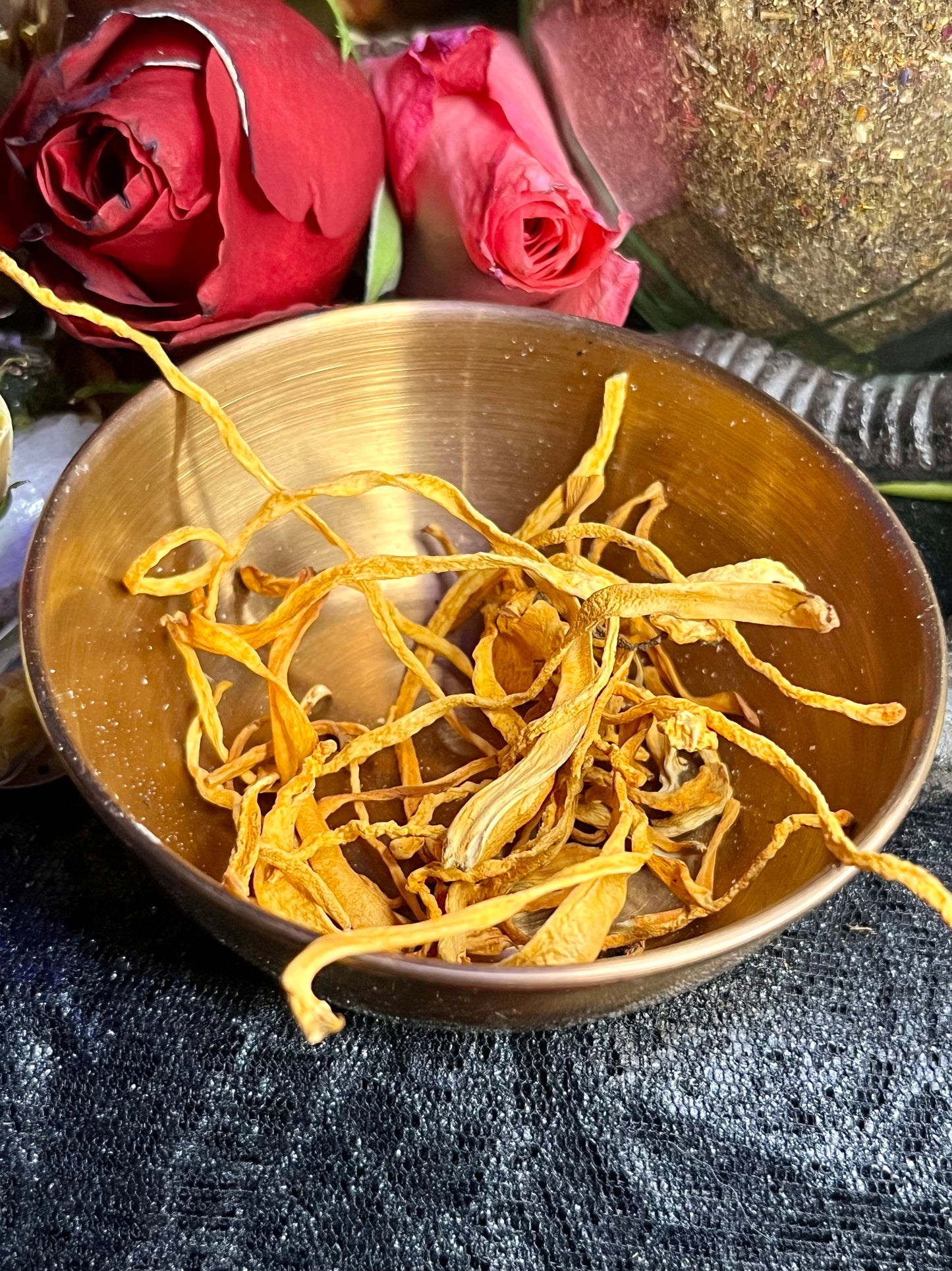 Mushroom Magick