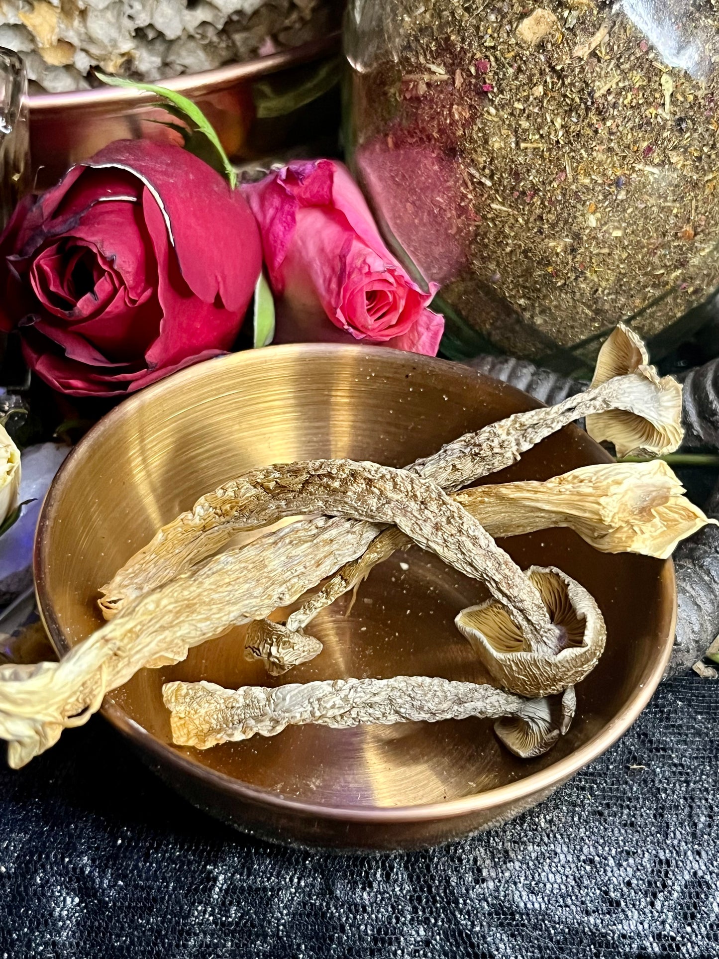 Mushroom Magick