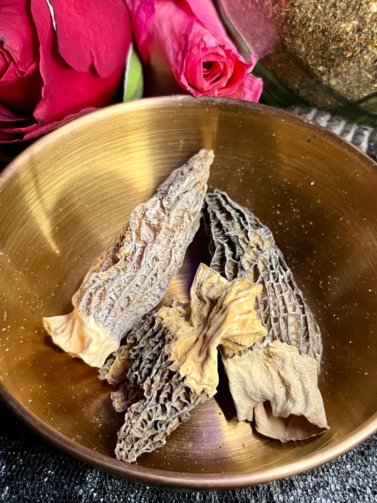 Mushroom Magick