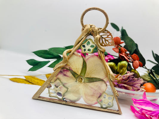 Wisdom’s Deception