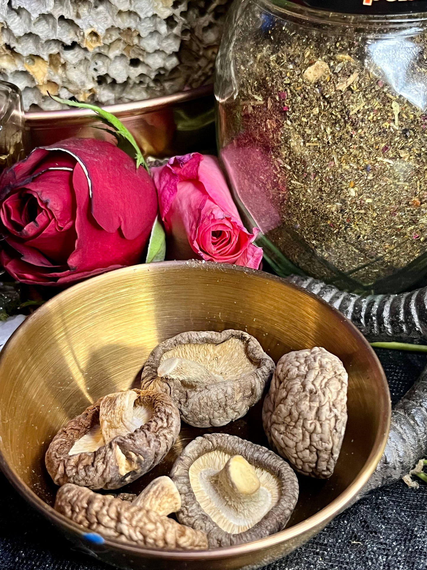Mushroom Magick