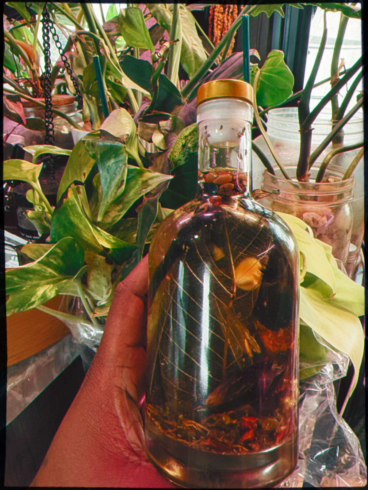 HIGH PRIESTESS — Intuition & Spiritual Amplification Oil