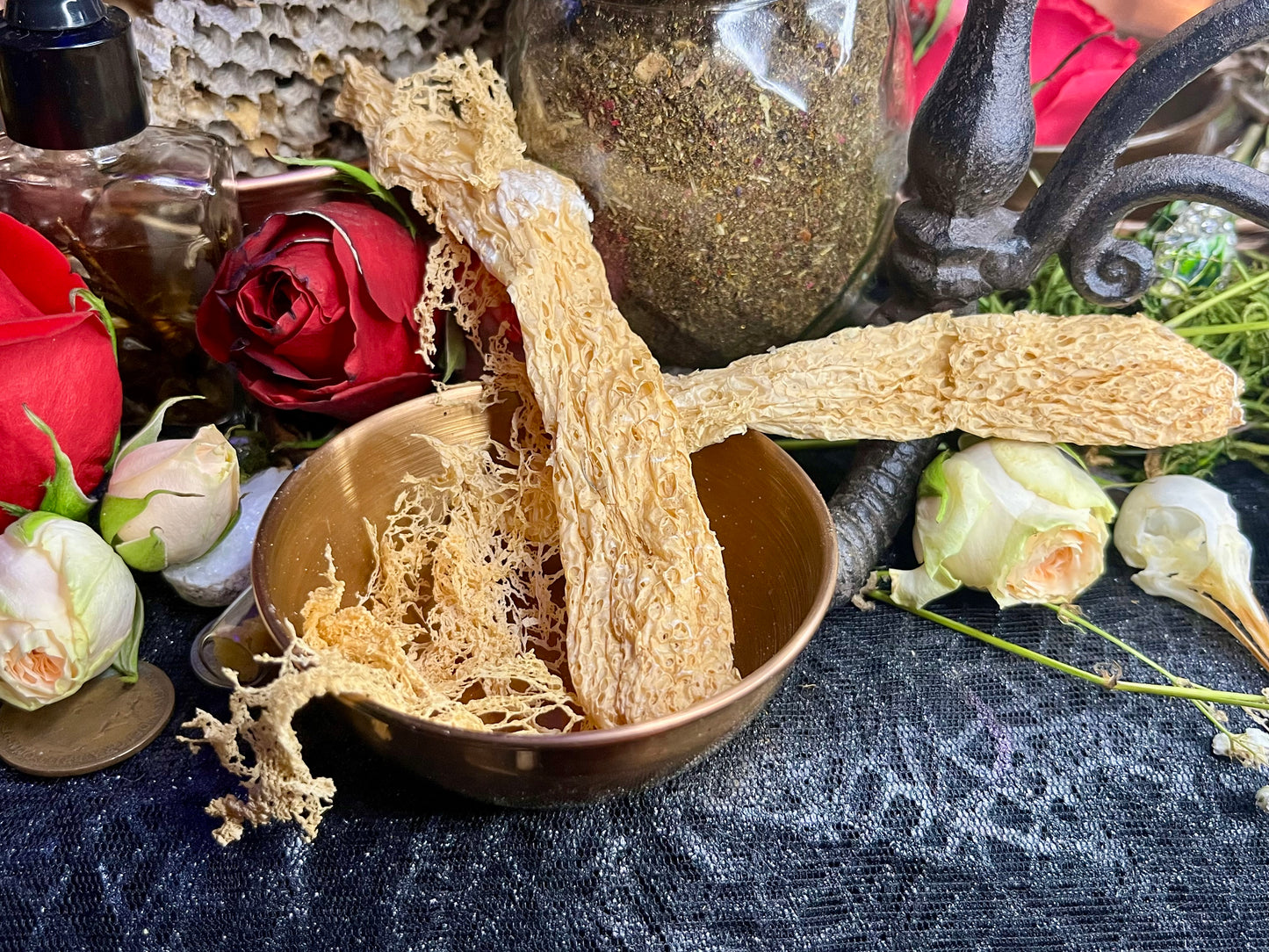 Mushroom Magick