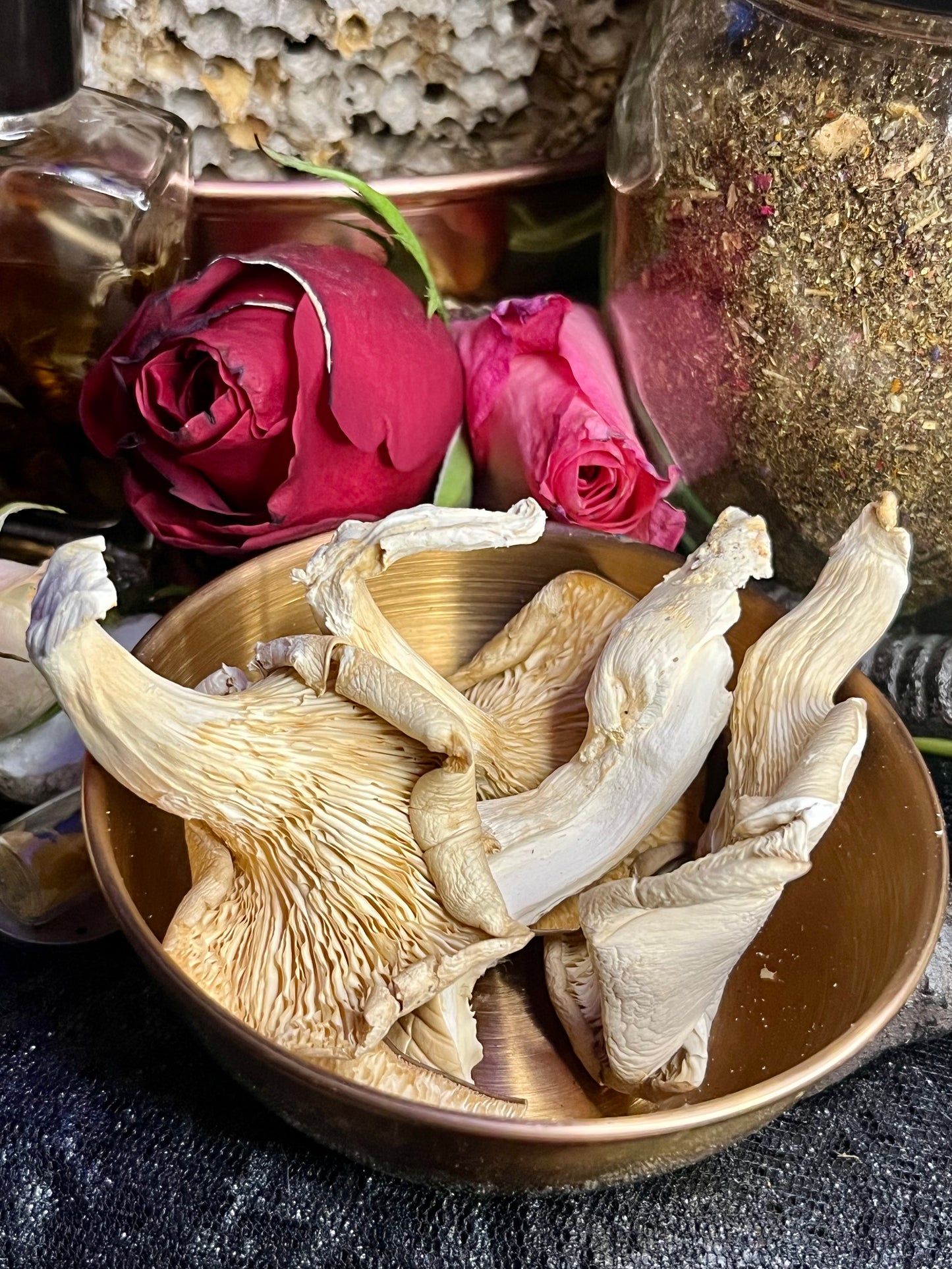 Mushroom Magick