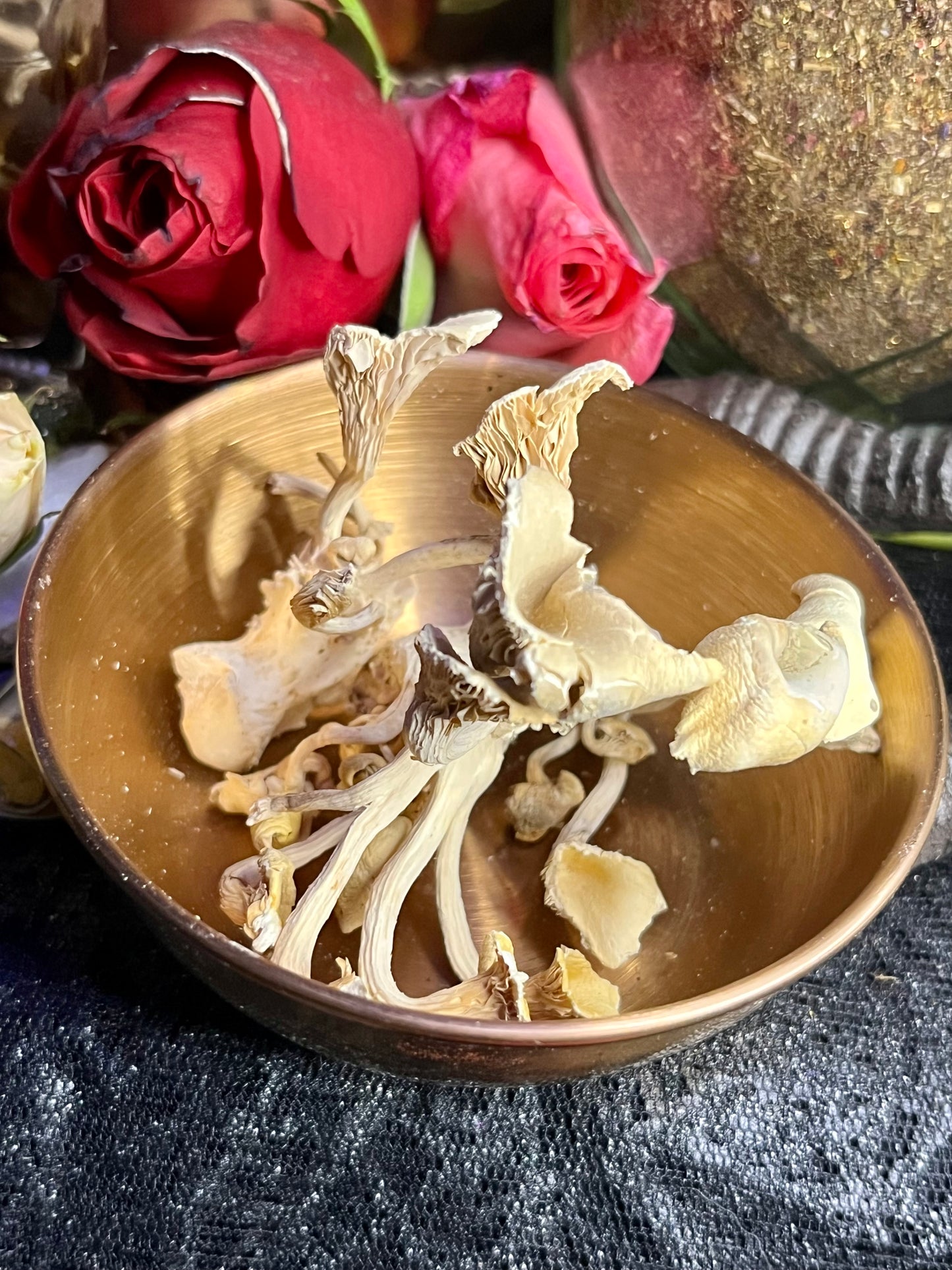 Mushroom Magick