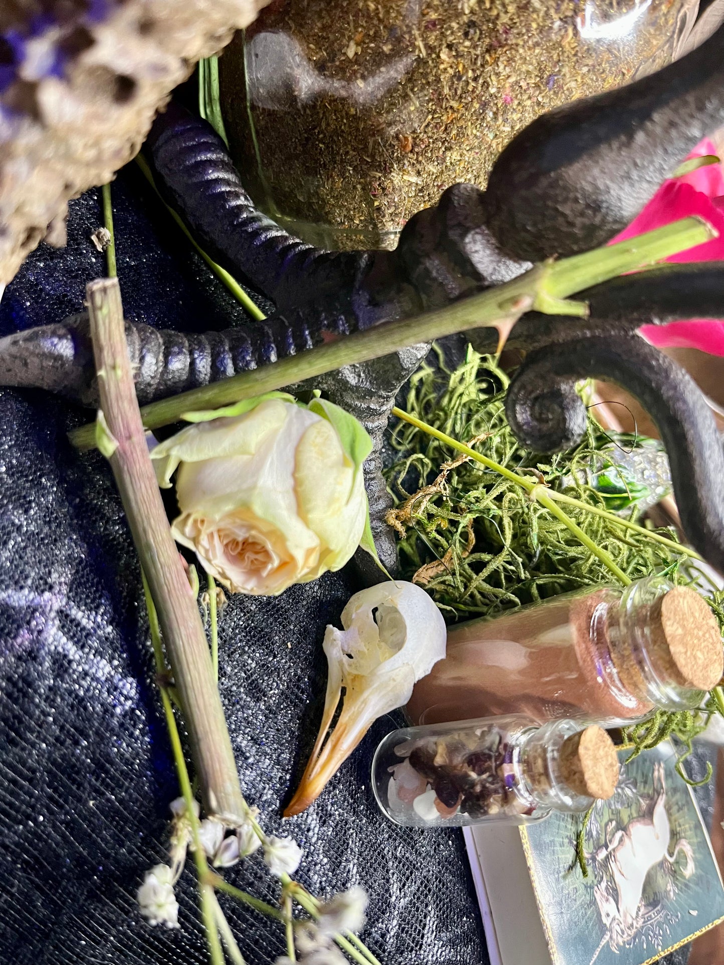 Flower Power