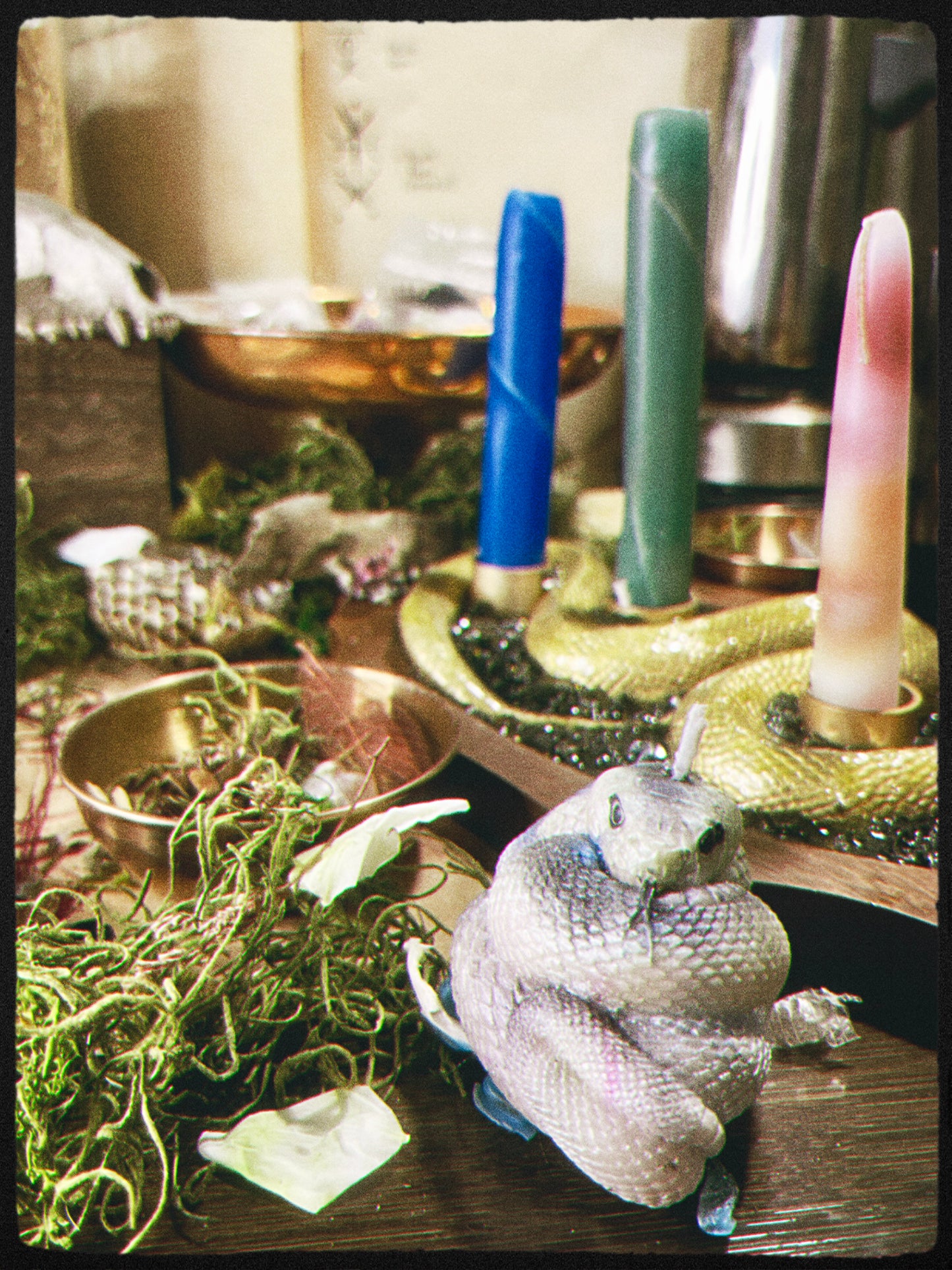 Snake- Kundalini Rising