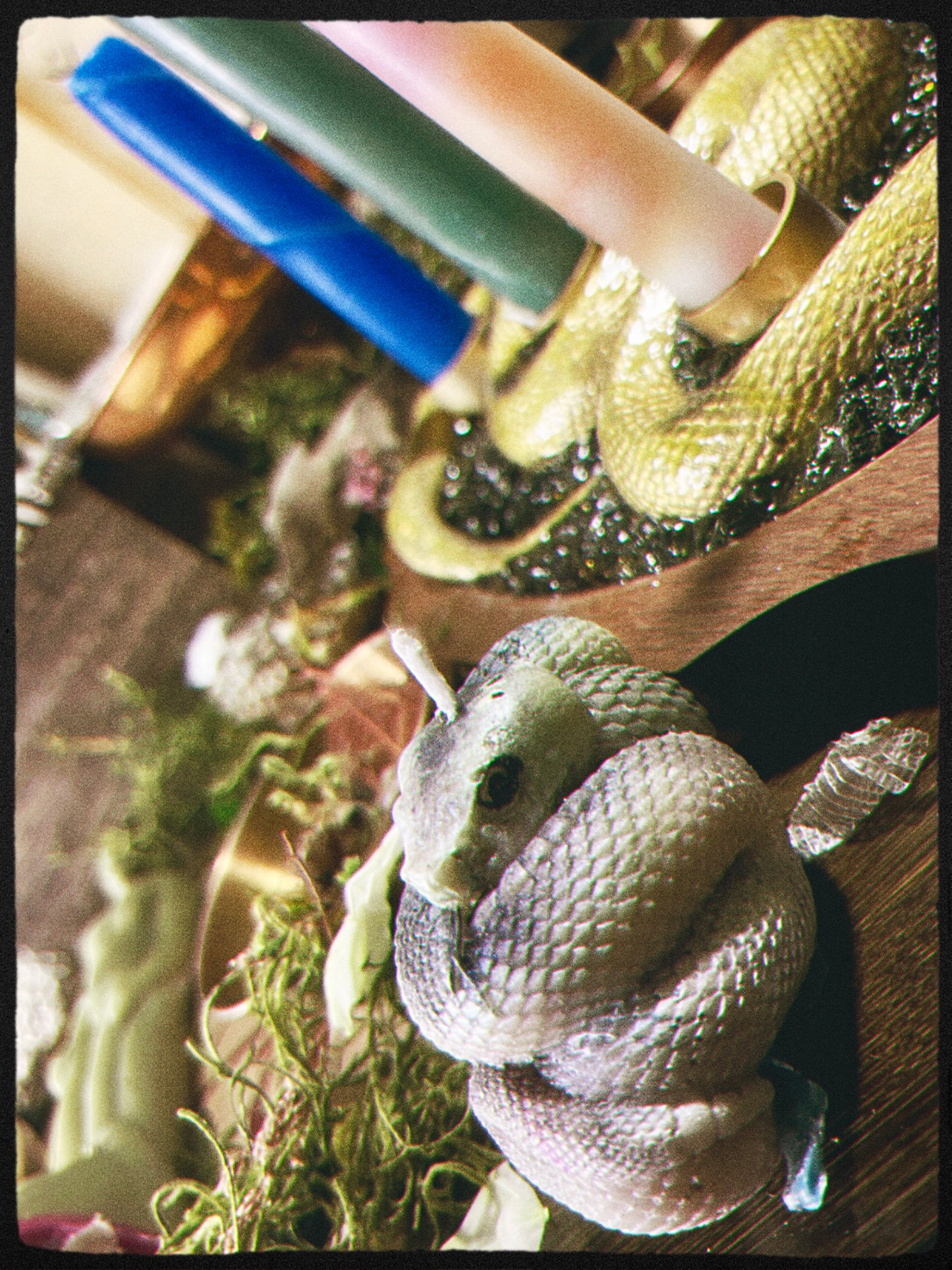 Snake- Kundalini Rising