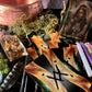 Spiritual READING