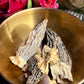 Mushroom Magick
