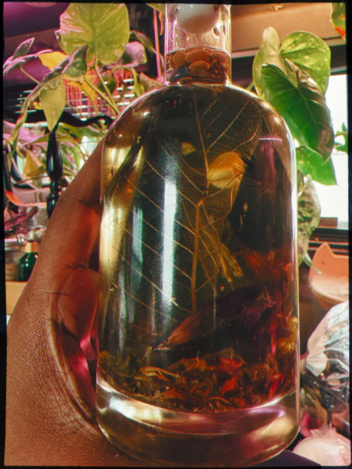 HIGH PRIESTESS — Intuition & Spiritual Amplification Oil