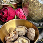 Mushroom Magick