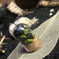 Curiosity killed the…