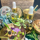 Herbal Oil of Earths Design