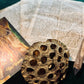 Bible pages Coffee Stained