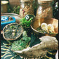 Abundant Herbal Bath Clense