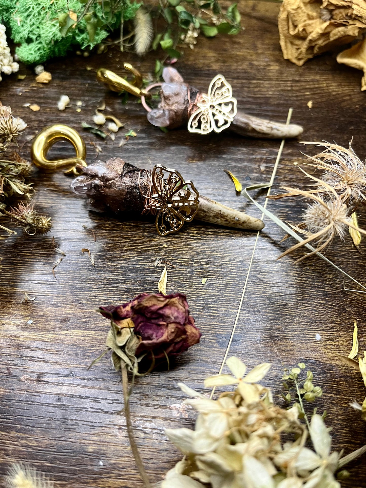 Rose with Thorns