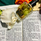 Herbal Oil of Earths Design