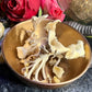 Mushroom Magick