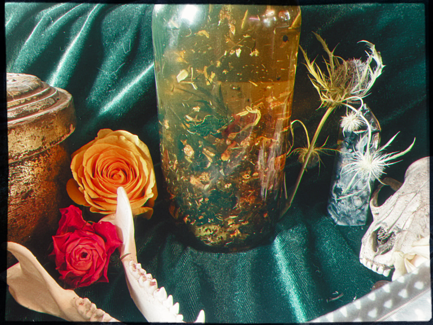 Sacred Womb - Adorning Penetration oil