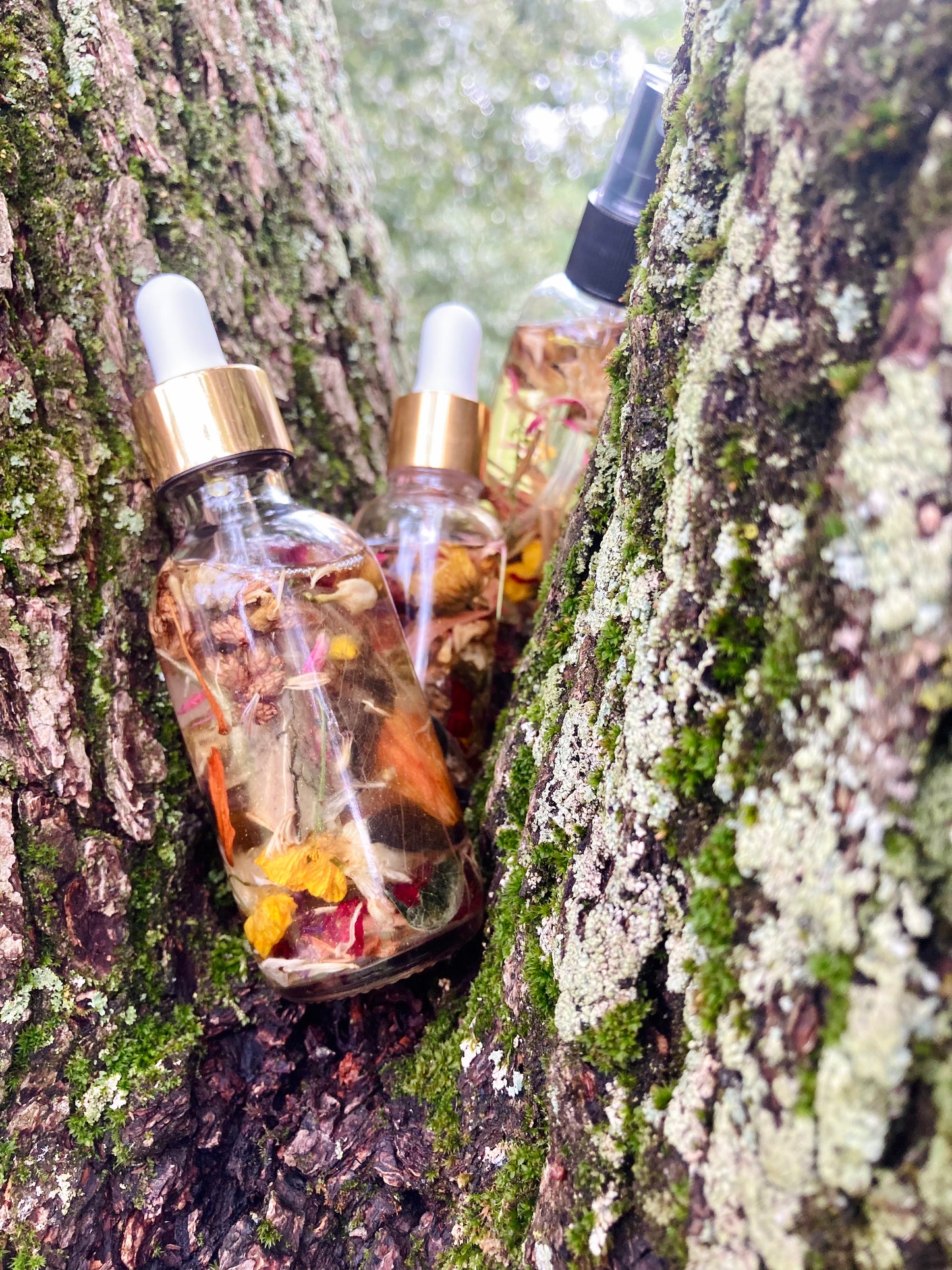 Herbal Oil of Earths Design