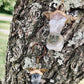 Gold Wings Moss agate Godsess